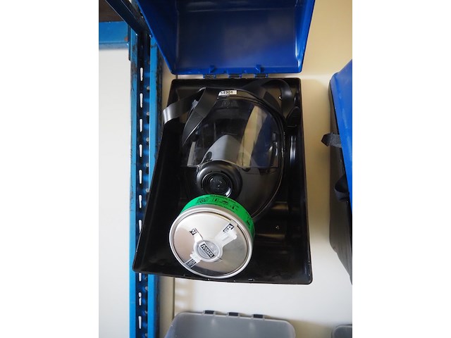 Gebra - afbeelding 6 van  10