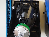 Gebra - afbeelding 6 van  10