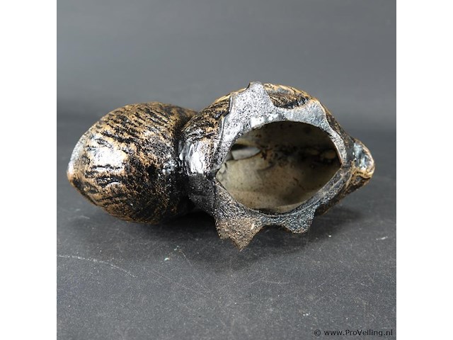 Gebronzed ijzeren pelikaan als centenbak - afbeelding 5 van  5