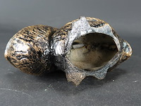 Gebronzed ijzeren pelikaan als centenbak - afbeelding 5 van  5