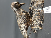 Gebronzed ijzeren specht als deurklopper - afbeelding 2 van  5