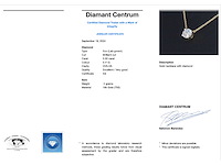 Geelgouden halsketting met een diamant van 0.50 carat