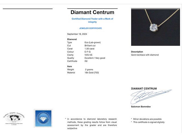 Geelgouden halsketting met een diamant van 1.00 carat - afbeelding 3 van  5
