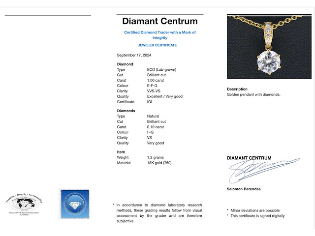 Geelgouden solitair hanger met een diamant 1.00 carat - afbeelding 3 van  8