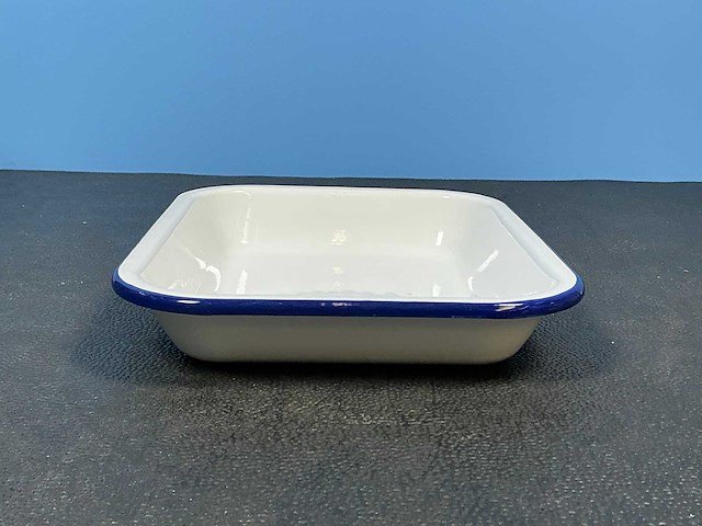 Geëmailleerde schaal (35x) - afbeelding 4 van  5