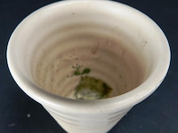 Geglazuurd aardewerk pot - afbeelding 3 van  5