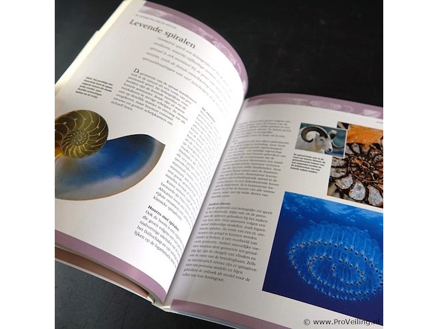 Geheime geometrie - afbeelding 5 van  5