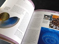 Geheime geometrie - afbeelding 5 van  5