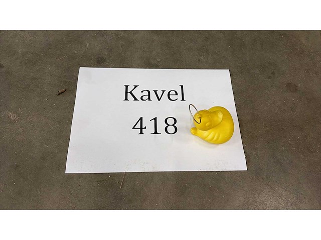 Gele eendjes - afbeelding 2 van  2