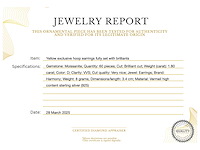 Gele exclusieve creolen volledig gezet briljanten - afbeelding 3 van  9