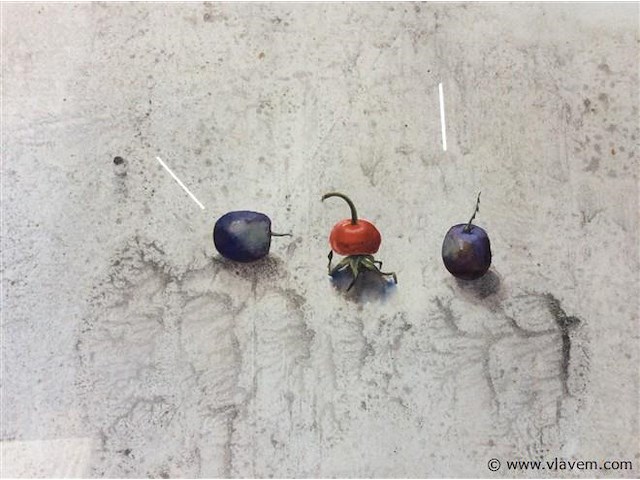 Gemengde techniek a stam 81/66 - afbeelding 2 van  3