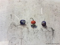 Gemengde techniek a stam 81/66 - afbeelding 2 van  3