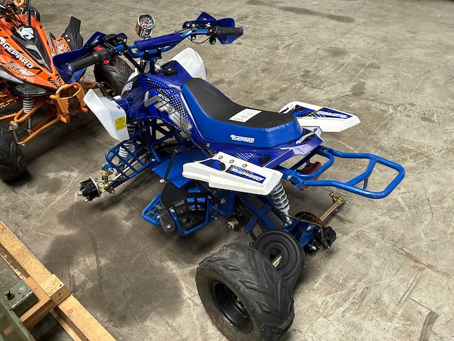 Gepard viper 1000w elektrische trike (2x) - afbeelding 9 van  9