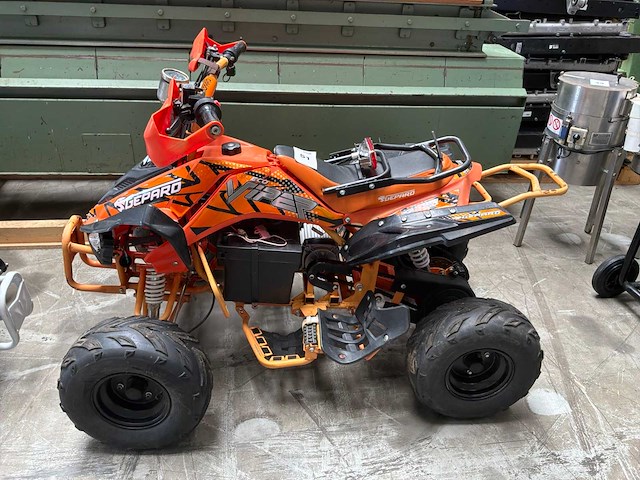Gepard viper 1000w elektrische trike (2x) - afbeelding 2 van  9