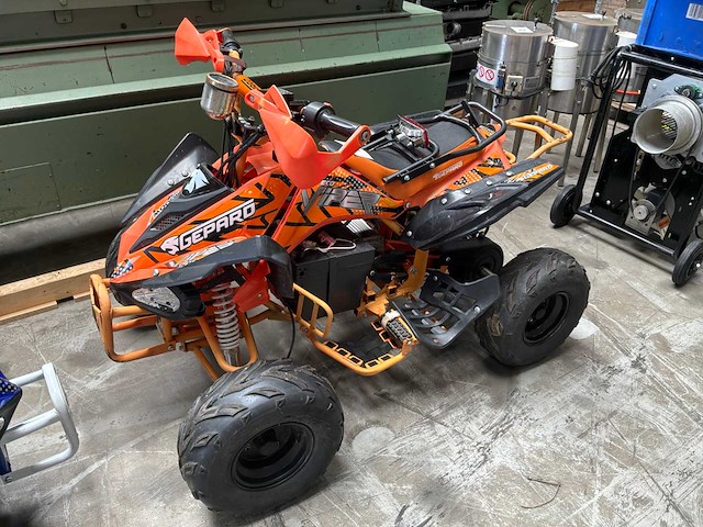 Gepard viper 1000w elektrische trike (2x) - afbeelding 3 van  9