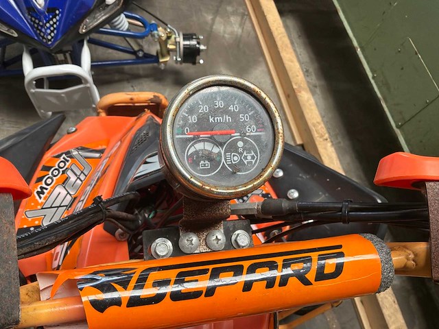 Gepard viper 1000w elektrische trike (2x) - afbeelding 5 van  9