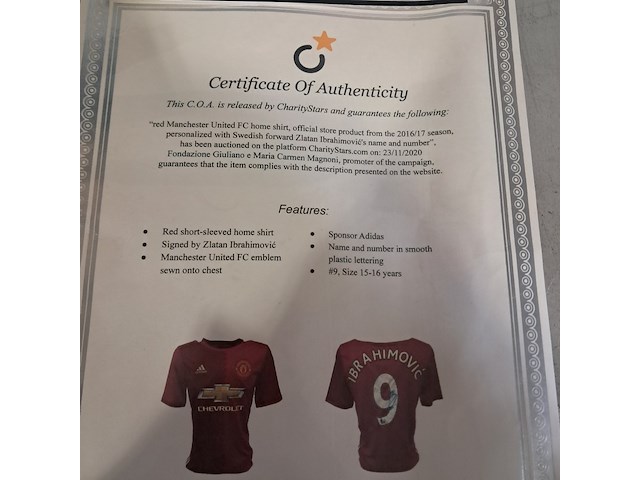 Gesigneerd voetbalshirt, 'zlatan ibrahimovic' - afbeelding 10 van  10