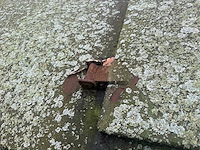 Gesloten afzetcontainer - afbeelding 3 van  4