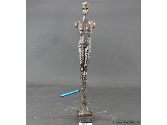 Gestileerde ijzeren man - afbeelding 1 van  5