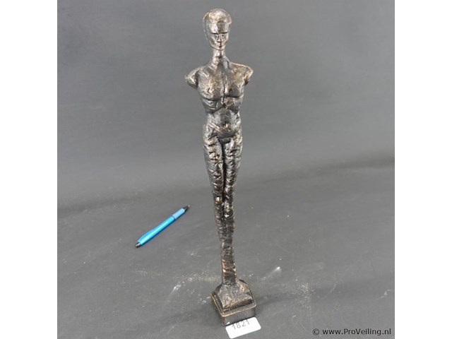 Gestileerde ijzeren man - afbeelding 2 van  5