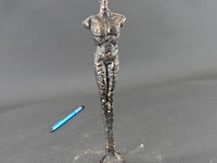 Gestileerde ijzeren man - afbeelding 2 van  5