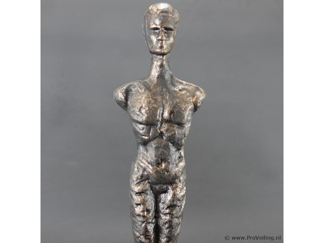 Gestileerde ijzeren man - afbeelding 3 van  5