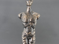 Gestileerde ijzeren man - afbeelding 3 van  5