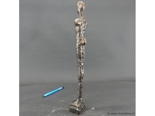 Gestileerde ijzeren man - afbeelding 4 van  5