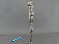 Gestileerde ijzeren man - afbeelding 4 van  5