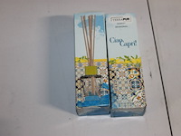 Geurstokjes zie foto 1 stuks in ds c - afbeelding 1 van  3