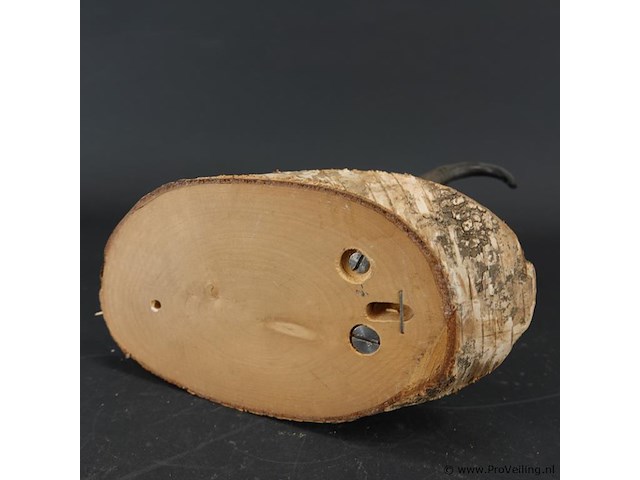 Gewei van een gemsbok op houten schild - afbeelding 5 van  5