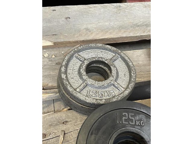 Gewichtsschijven - bankdrukken - afbeelding 7 van  8