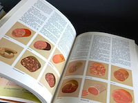 Gezond eten gezonder leven - afbeelding 5 van  5