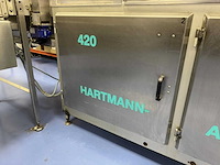 Ghd - selectra 30/gbk 420 hartmann - broodsnij- en verpakkingslijn backloader - afbeelding 3 van  28