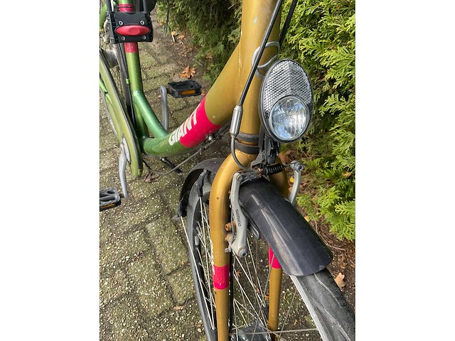 Giant mamafiets - afbeelding 7 van  8