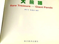 Giant panda - afbeelding 3 van  5