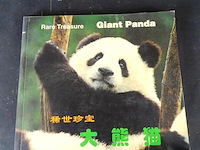 Giant panda - afbeelding 1 van  5