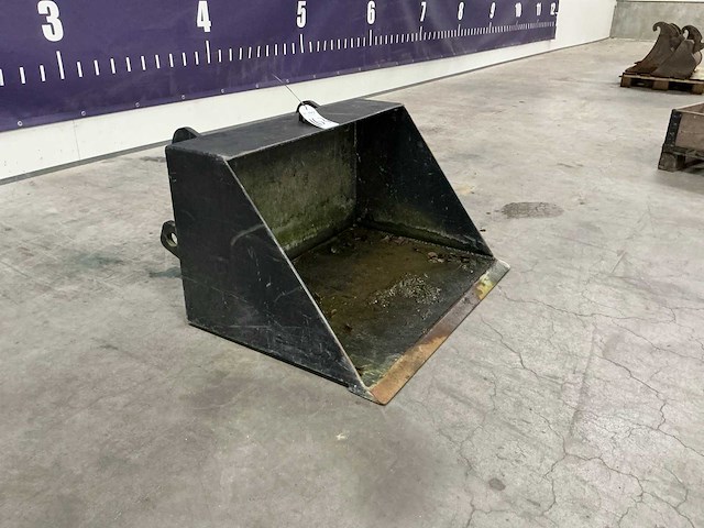 Giant shovelbak - afbeelding 2 van  4