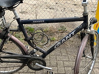 Giant trooper herenfiets v.v. 7 versnellingen maat:56cm - afbeelding 2 van  4