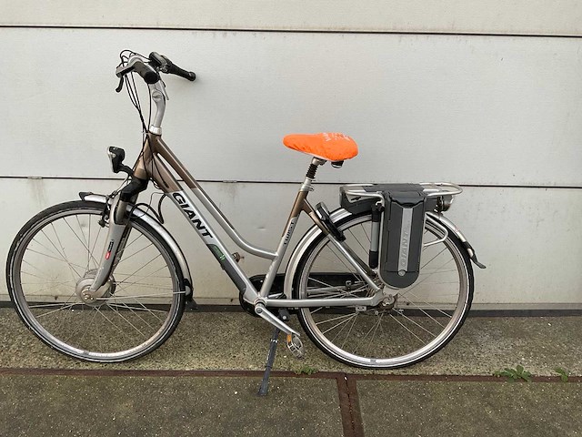 Giant twist elektrische fiets - afbeelding 1 van  14