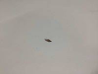 Giga meubel beton ciré beige rond eetkamertafel - afbeelding 6 van  7