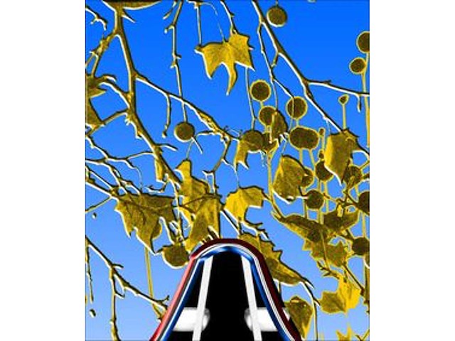 Gilbert en george - afbeelding 1 van  5
