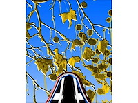 Gilbert en george - afbeelding 1 van  5