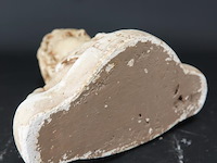 Gipsen buste beethoven - afbeelding 5 van  5