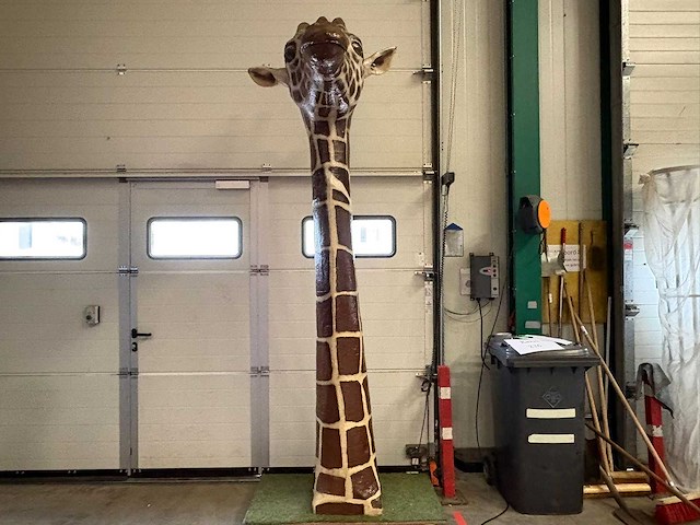 Giraffe-nek (ter decoratie) - afbeelding 1 van  4