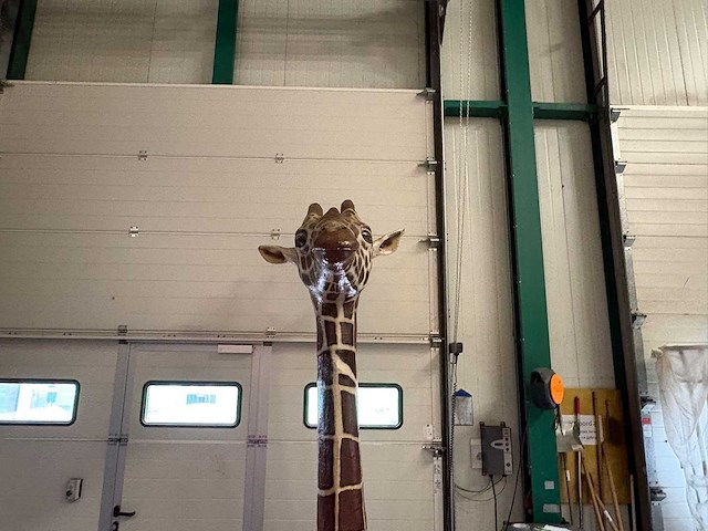 Giraffe-nek (ter decoratie) - afbeelding 3 van  4