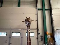Giraffe-nek (ter decoratie) - afbeelding 3 van  4