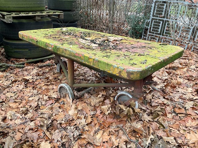 Glasbokken en divers intern transport - afbeelding 5 van  5