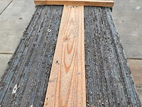 Glasplaat (100x) - afbeelding 10 van  10