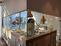 Glasplaat (5x) - afbeelding 1 van  7